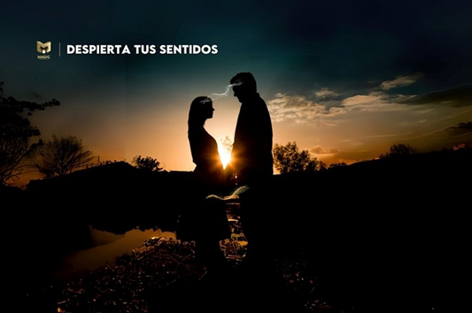 El Arte de la Sensualidad Reconecta con tu Cuerpo y Despierta tus Sentidos