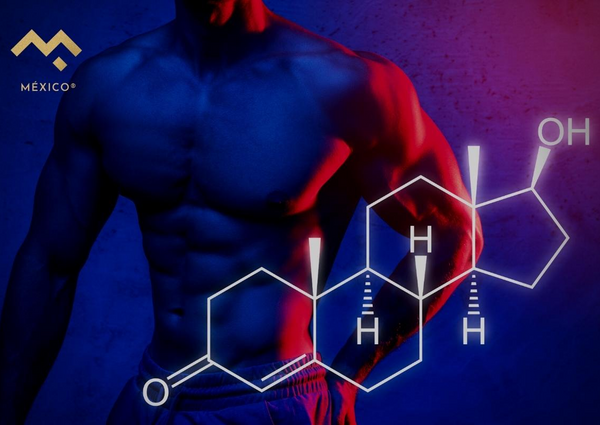 ¿Cuáles son los beneficios de la testosterona en los hombres?