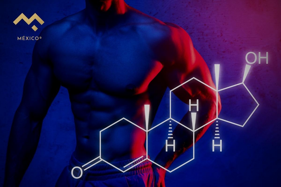 ¿Cuáles son los beneficios de la testosterona en los hombres?