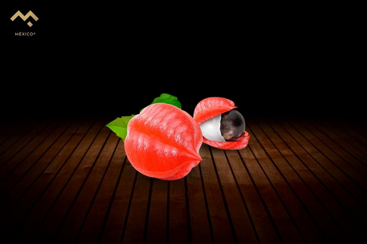 ¿Para qué sirve el guaraná?