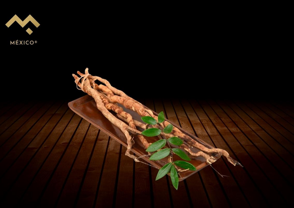 ¿Qué es tongkat ali y para qué sirve?