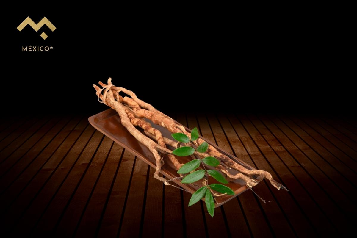 ¿Qué es tongkat ali y para qué sirve?